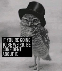 Top Hat Owl says "If you're going to be weird, be confident about it."
