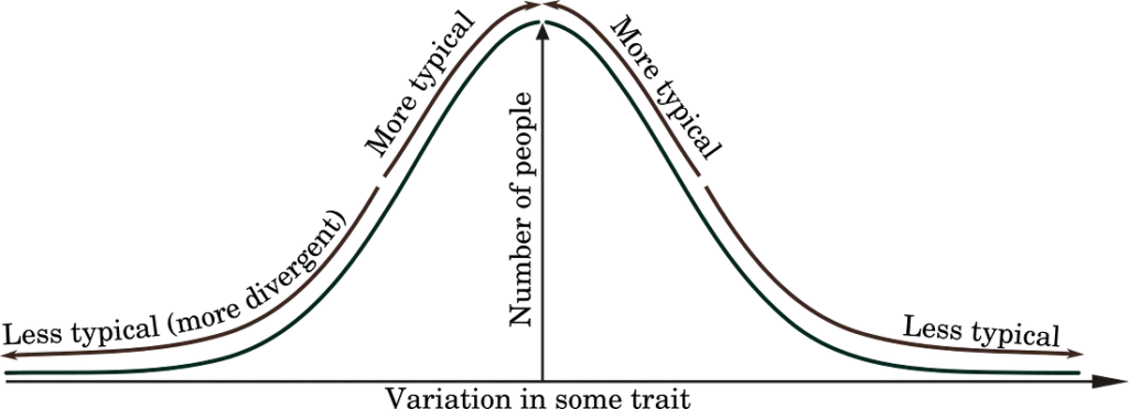 A single, smooth hump representing variation in some trait. The peak of the hump represents the 'most typical', while 'less typical' (more divergent) people, or things, are found in the tails on either side. 